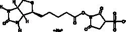 Cayman Chemical&nbsp;Sulfo-NHS-BIotIn 100mg