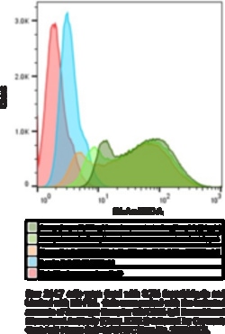 Cayman Chemical&nbsp;ScavengR RECPTR B2CD36 Ig