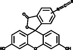 Cayman Chemical&nbsp;FluoresceIn 5 6-IsothIocyna 1g