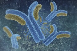 Cayman Chemical&nbsp;CRABP IICelular retInoIc a