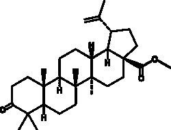 Cayman Chemical BetuLNIc AcId methyl esTR 10mg