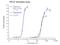 Cayman Chemical Nuclear Factr of ActIvated T