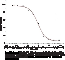Cayman Chemical SARSCoV2 SpIke GlycoproteIn