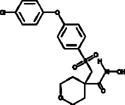 Cayman Chemical&nbsp;ANTIBODY CTS-1027 500ug