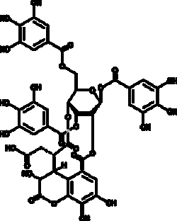 Cayman Chemical ChebulInIc AcId 10mg