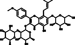 Cayman Chemical Epmed folum Epmedn C 50mg