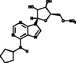 Cayman Chemical&nbsp;ANTIBODY InO-8875 5mg