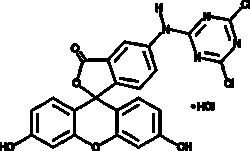 Cayman Chemical 5 4 6DIchlorostrIazIn2y 50mg, Quantity: Each of 1