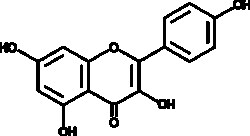 Cayman Chemical&nbsp;Cntla astca Kampfrl 100mg