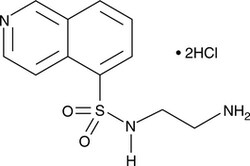 Cayman Chemical&nbsp;H-9hydrochlorIde 50mg