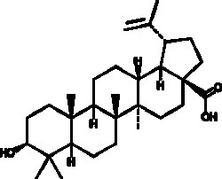 Cayman Chemical&nbsp;Betulinic acid 500MG