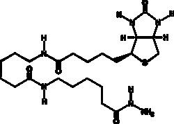 Cayman Chemical&nbsp;BIotIn-XX hydrazIde 5mg