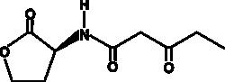 Cayman Chemical N3oxopentnoylLHomoserIn 10mg