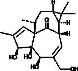 Cayman Chemical&nbsp;ANTIBODY ngenol 500ug