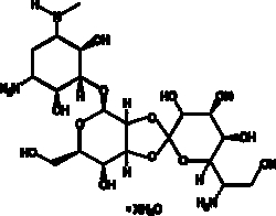 Cayman Chemical&nbsp;HygromycIn Bhydrate 1g