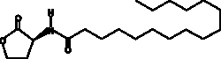 Cayman Chemical&nbsp;NhexadecnoylLHomoserIn l 25mg
