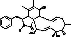 Cayman Chemical CytochalasIn C 1mg, Quantity: Each of 1