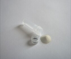 Cayman Chemical Precellys 2 mL Bacteria Lysi