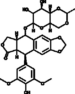 Cayman Chemical&nbsp;ANTIBODY EtoposIde 100mg