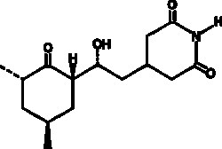 Cayman Chemical CyclohexImIde 1g