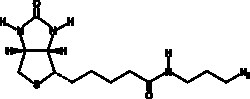 Cayman Chemical&nbsp;BIotIn-azIde 5mg