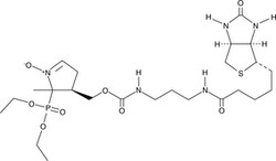 Cayman Chemical&nbsp;DEPMPO-bIotIn 250ug