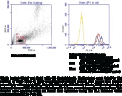 Cayman Chemical BLT1 Receptr Monclonal ntI 1ea
