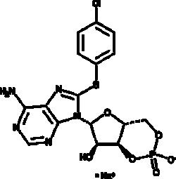 Cayman Chemical&nbsp;8CPTCyclIc AMPsodIM salt 10mg
