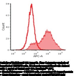 Cayman Chemical&nbsp;RabbIt ntI-HA IgGSureLIght 1ea