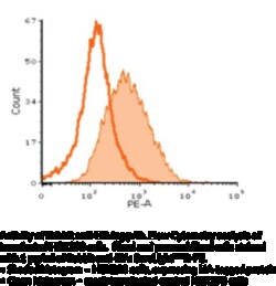 Cayman Chemical&nbsp;RabbIt ntI-HA IgGSureLIght 1ea