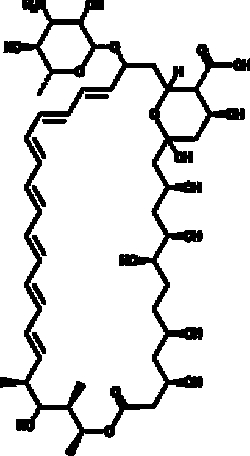 Cayman Chemical&nbsp;AmphoterIcIn B 1g