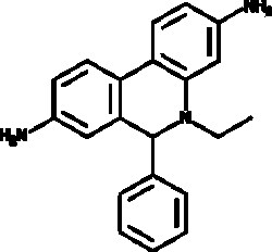 Cayman Chemical DIhydroethIdIum 5mg