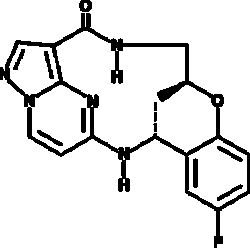Cayman Chemical&nbsp;ANTIBODY TPX-0005 5mg