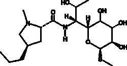 Cayman Chemical SynthetIc LIncomycIn 5mg