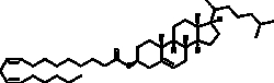 Cayman Chemical Cholesteryl LInoleate 500mg