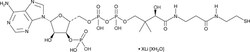 Cayman Chemical&nbsp;Coenzyme AlIthIM salt hydr