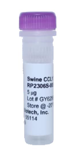 Kingfisher Biotech Inc&nbsp;Swine CCL17 Protein (Yeast, Endotoxin - Free) - 25 ug