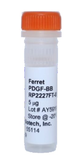 Kingfisher Biotech Inc&nbsp;Ferret/Mink PDGF-BB Protein (Yeast, Endotoxin - Free) - 25 ug