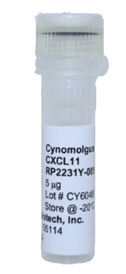 Kingfisher Biotech Inc&nbsp;Monkey CXCL11 Protein (Yeast, Endotoxin - Free) - 100 ug