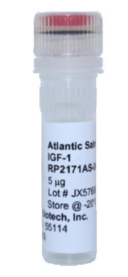 Kingfisher Biotech Inc&nbsp;Atlantic Salmon IGF-1 Protein (Yeast, Endotoxin - Free) - 25 ug