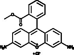 Cayman Chemical RhodamIn 123chlorIde 100mg