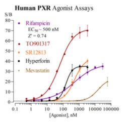 Cayman Chemical Humn Pregn X Receptr Rep 96Wel