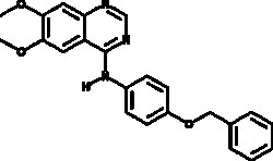 Cayman Chemical&nbsp;EGFRErbB2 InhIbItr 1mg