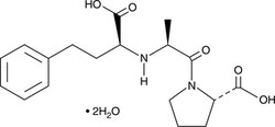Cayman Chemical EnalaprIlathydrate 100mg
