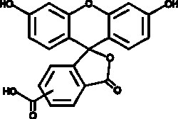 Cayman Chemical&nbsp;5 6-CarboxyfluoresceIn 1g