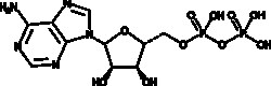 Cayman Chemical&nbsp;AdenosIn 5-dIphosphate 250mg