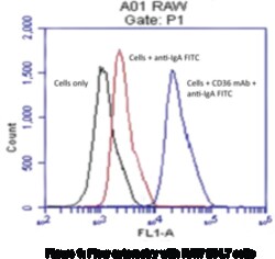 Cayman Chemical ScavengR Receptr B2CD36 Mo 1ea