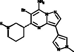 Cayman Chemical&nbsp;ANTIBODY SCH 900776 10mg