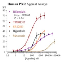 Cayman Chemical Humn Pregn X Receptr Rep 3x32