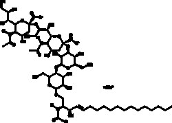 Cayman Chemical&nbsp;GnglIosID GD3bovIn braIn 500ug